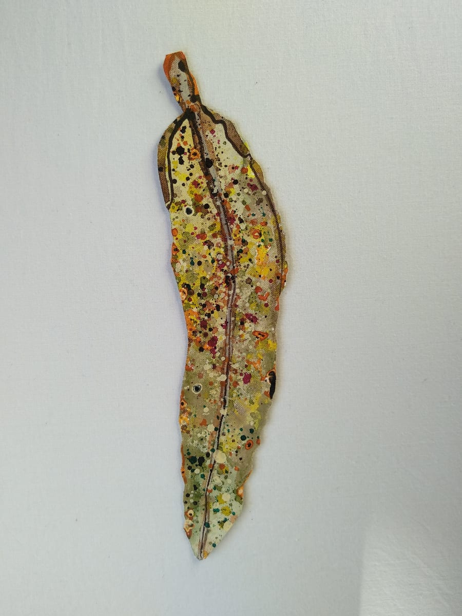 Gum Leaf - Little .. (19097) by Liz McAuliffe, Image 2.