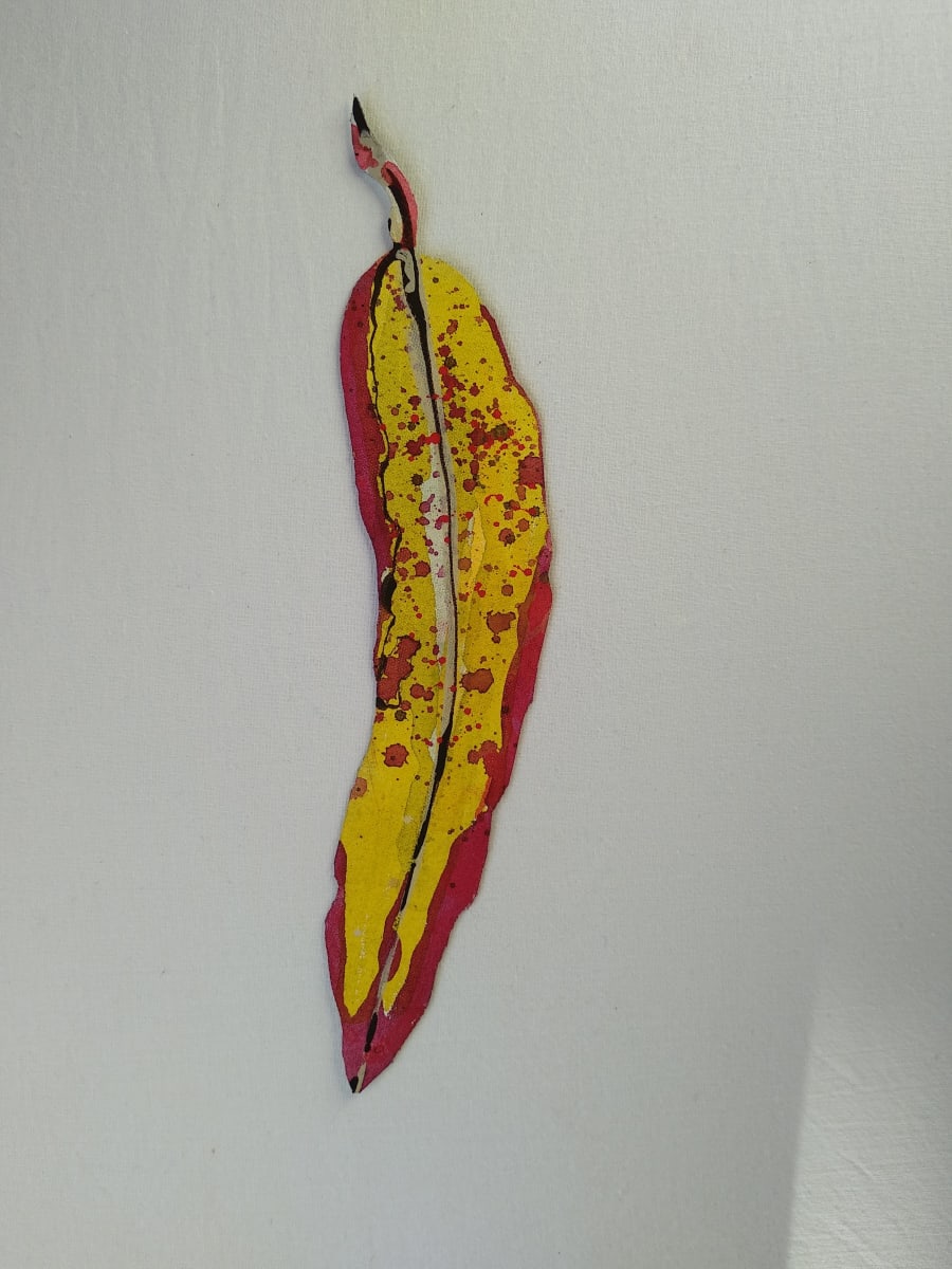 Gum Leaf - Little .. (19102) by Liz McAuliffe, Image 2.