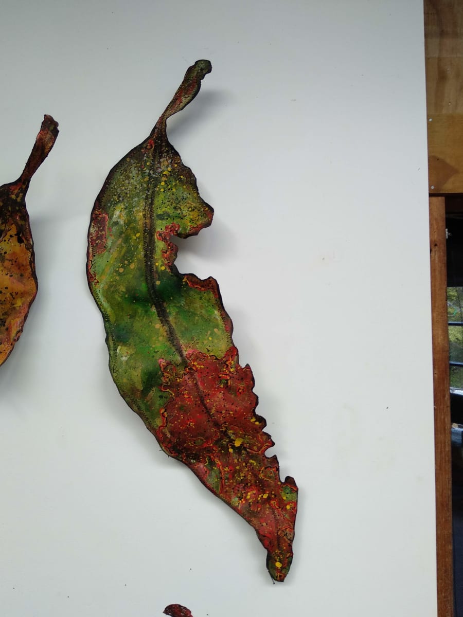 Gum Leaf .. Small .. (19150) by Liz McAuliffe, Image 1.