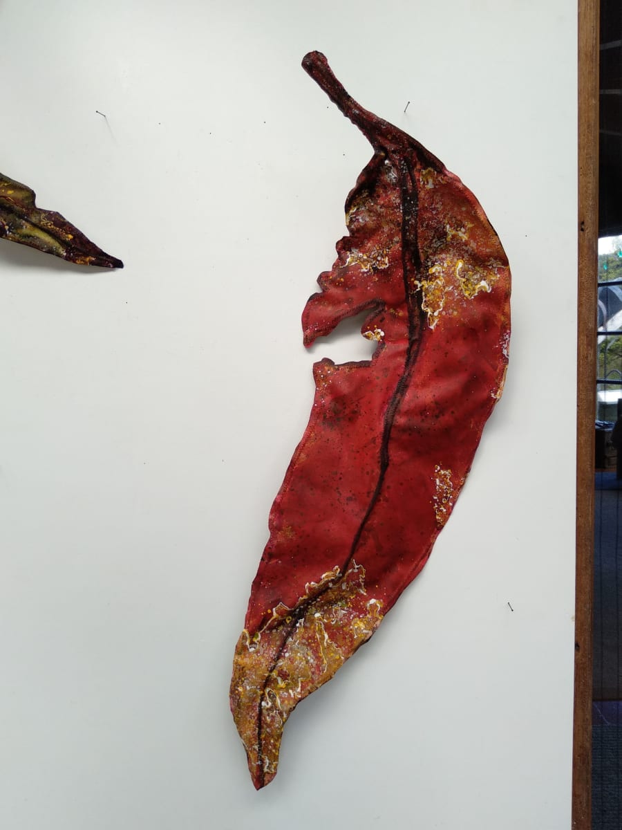 Gum Leaf .. Large .. (19156) by Liz McAuliffe, Image 1.