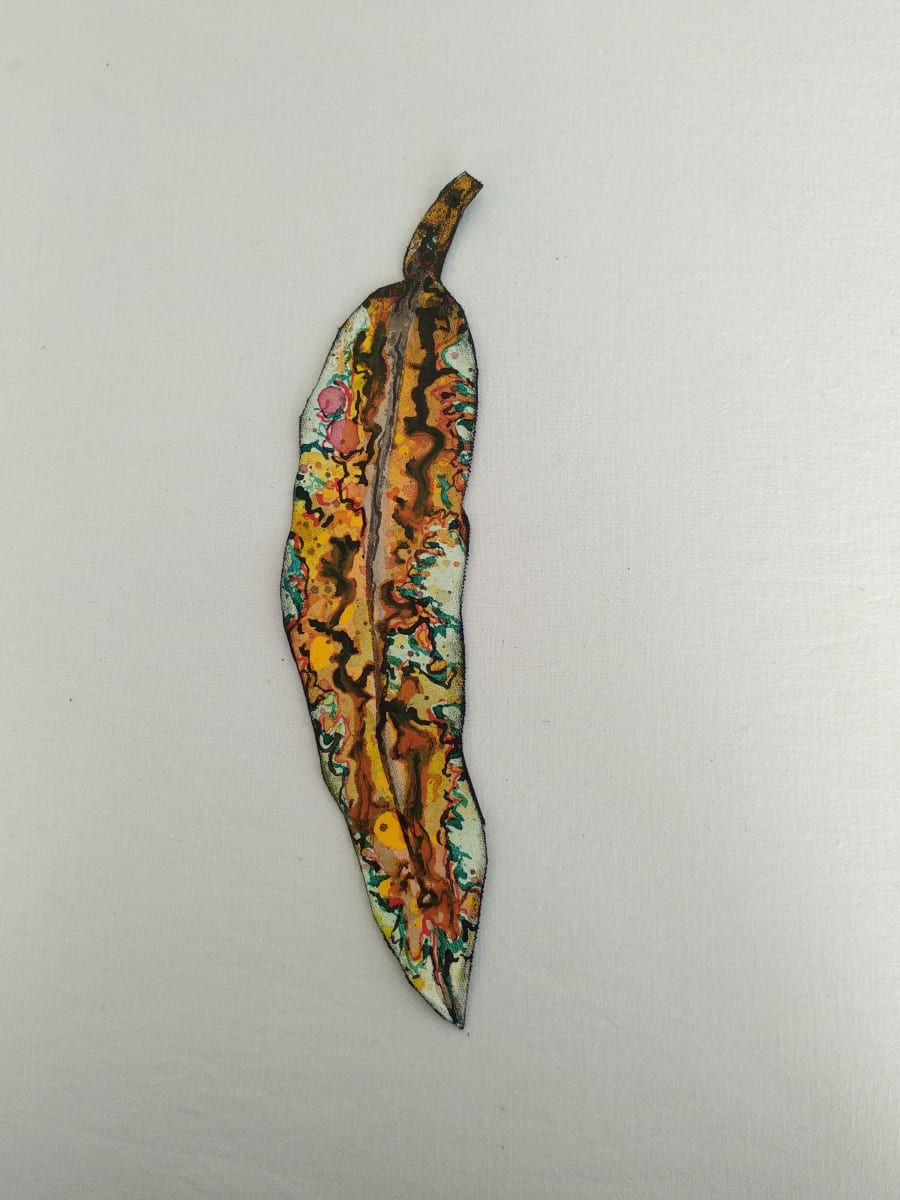Gum Leaf - Little .. (19215) by Liz McAuliffe, Image 1.