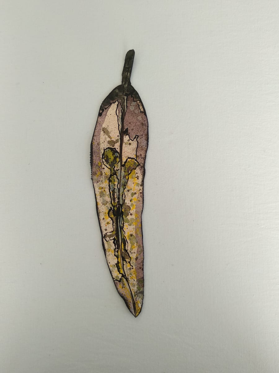 Gum Leaf - Little .. (19216) by Liz McAuliffe, Image 1.