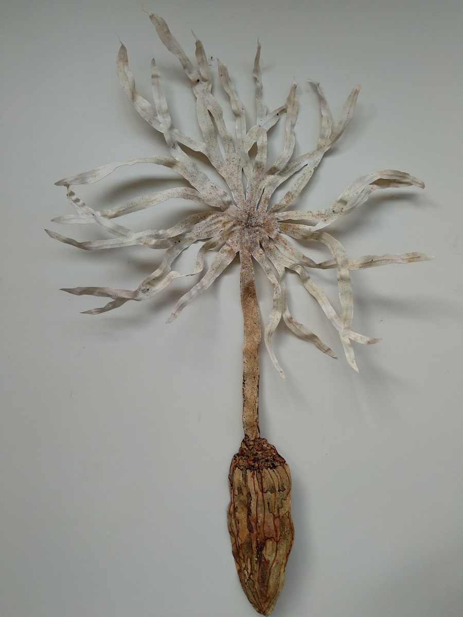 Dandelion - Canvas/Wire  ..  (20222), Image 5.