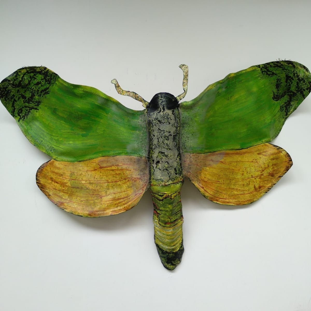 Puriri Moth - Canvas/Wire  ..  (21013) by Liz McAuliffe 