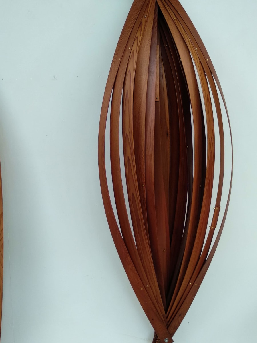 Anima Mundi Pod .. Just Wood - Full .. (21645) by Liz McAuliffe 