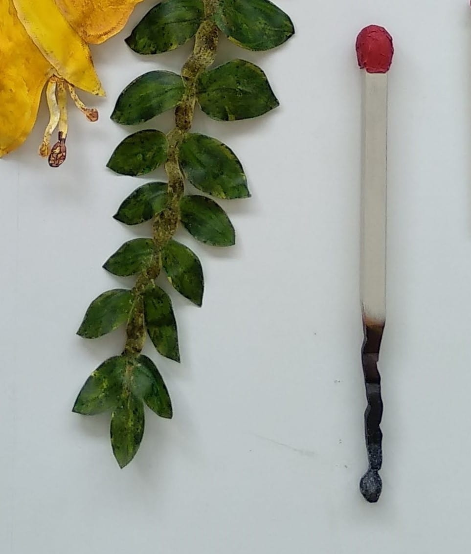 Matches - Both Ends . . (21740), Image 2.
