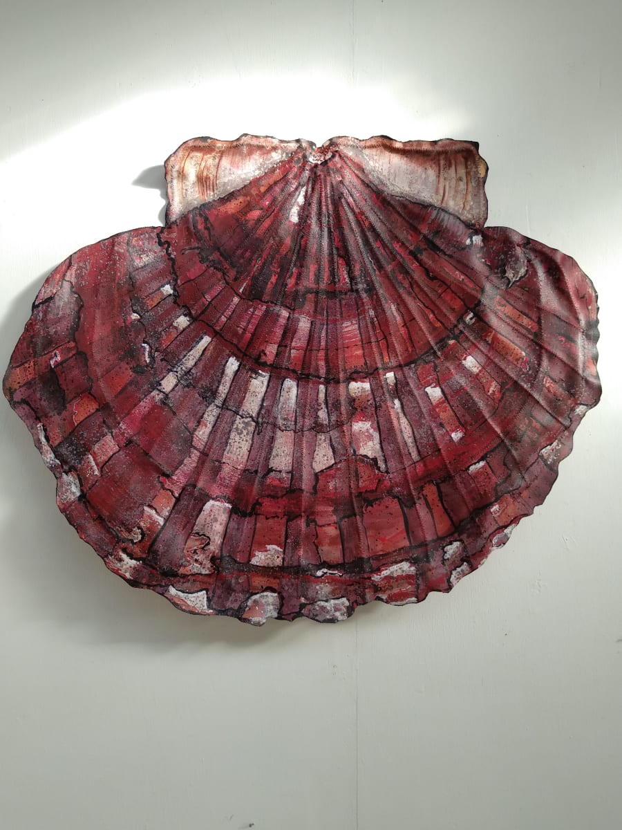 Scallop Shell - canvas sculpture  .. (22011) by Liz McAuliffe, Image 2.