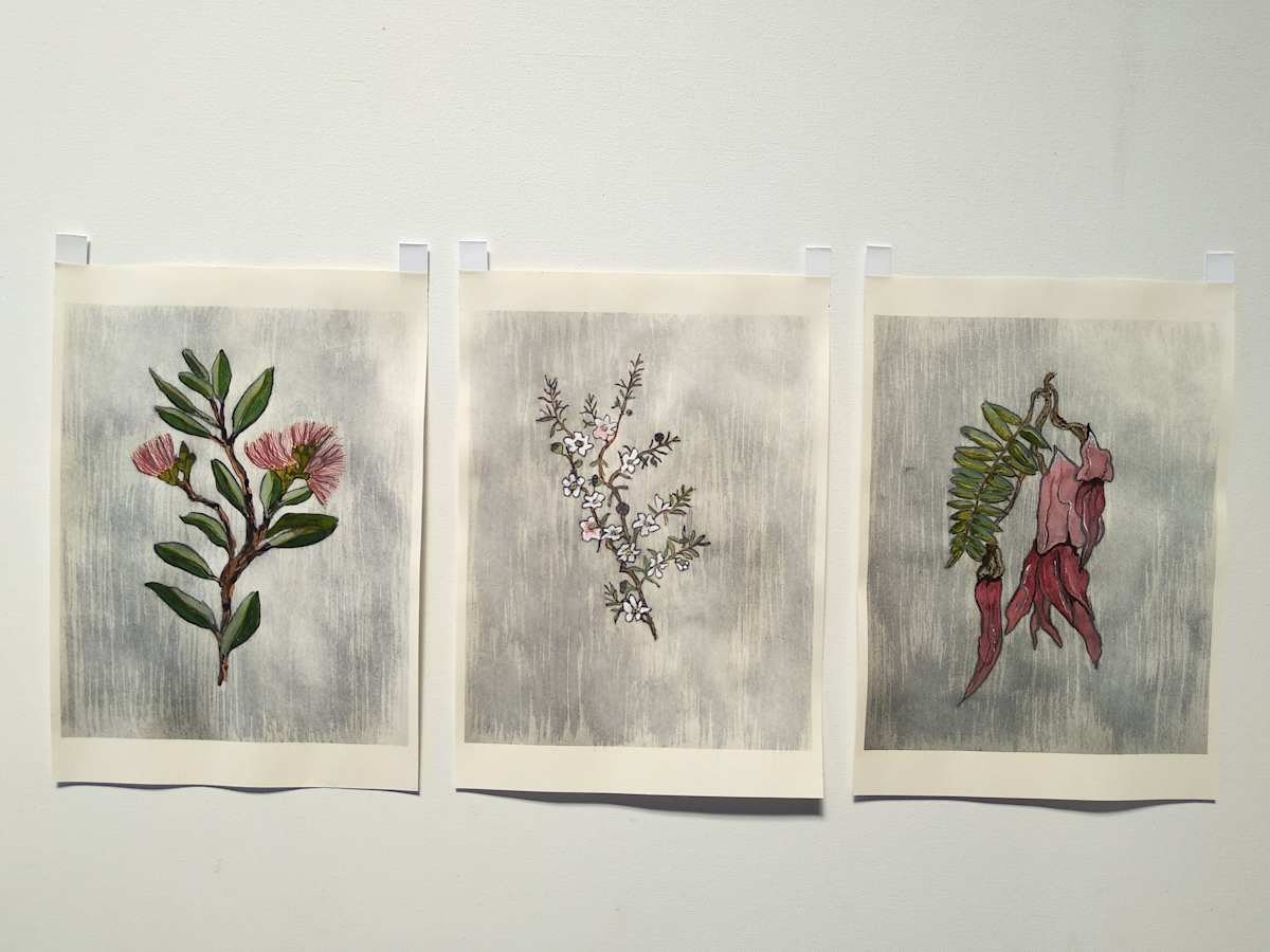 Hand Coloured Prints - set of 3 .. 24212 by Liz McAuliffe 