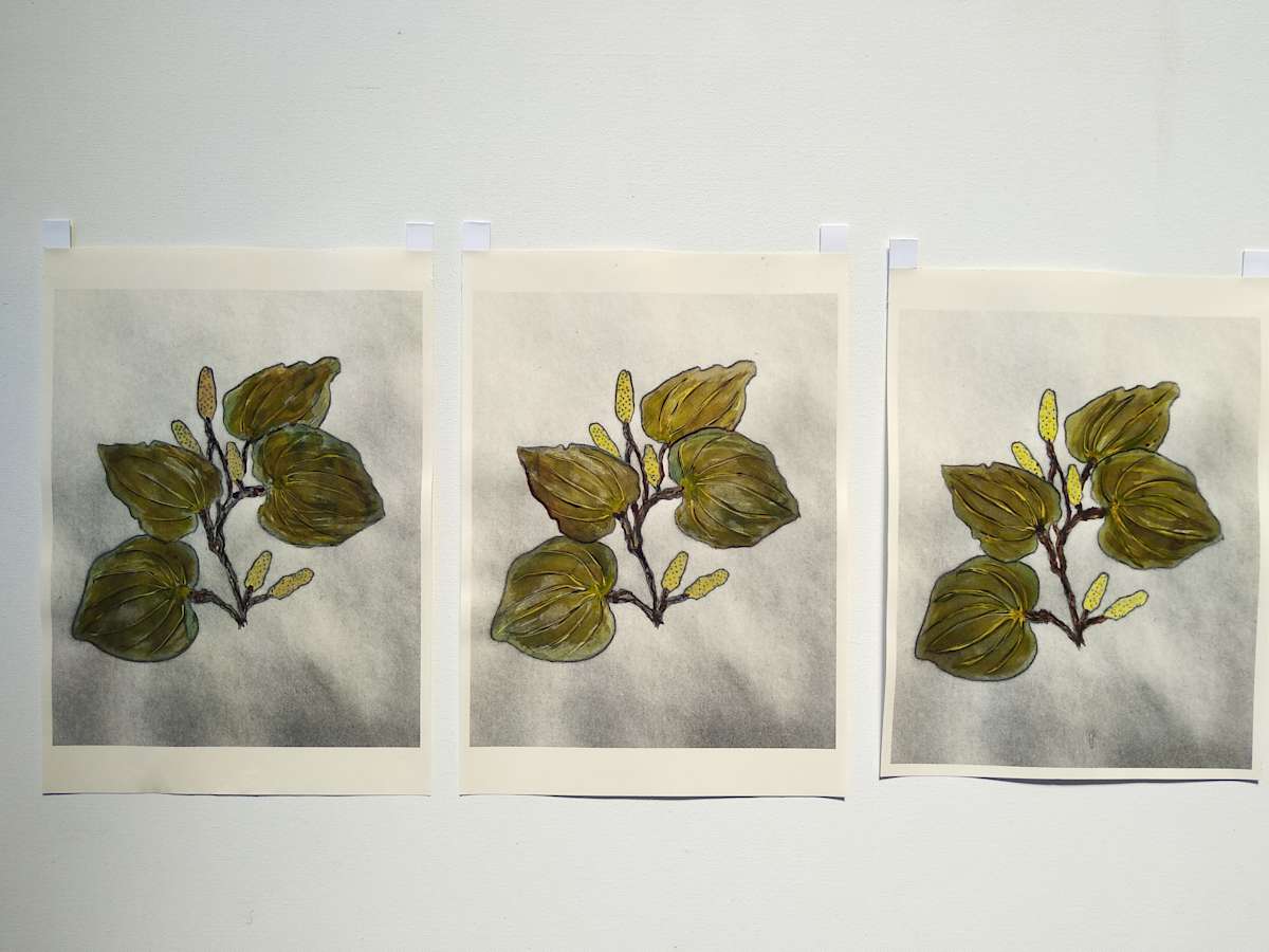 Hand Coloured Prints - Kawakawa 1 - 3  .. 24215-24217 by Liz McAuliffe 