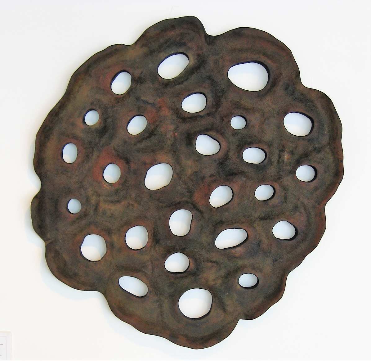 Lotus Transverse Section .. (08118) by Liz McAuliffe, Image 1.