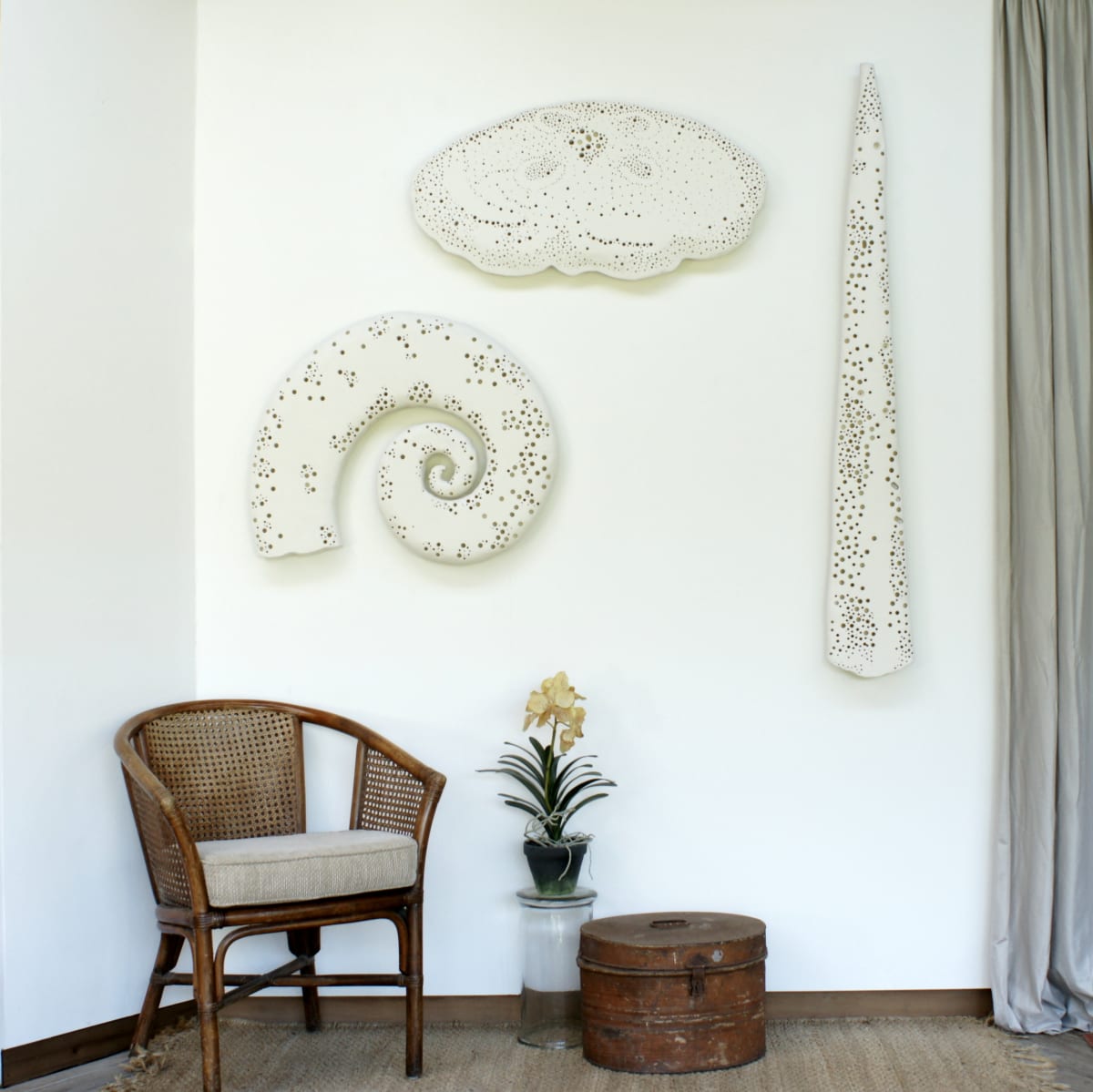White Works - Rams Horn Shell . 004 by Liz McAuliffe, Image 1.
