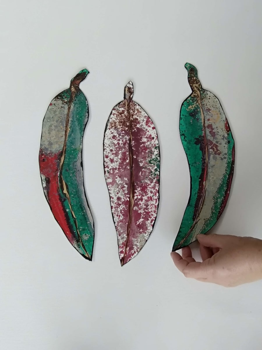 Leaf Form - Phalo  .. (22348)* by Liz McAuliffe 