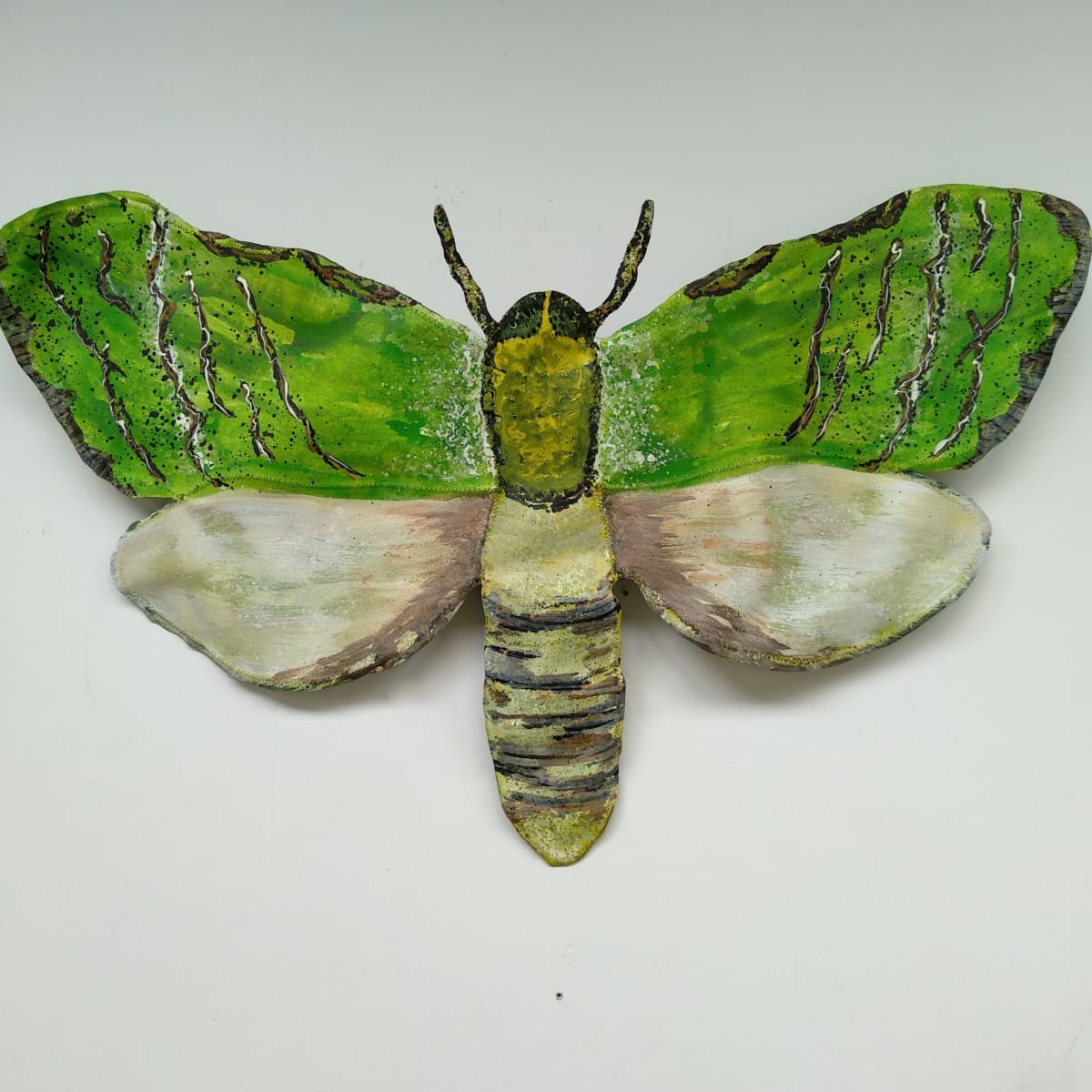 Puriri Moth - Canvas/Wire  ..  (21012) by Liz McAuliffe 