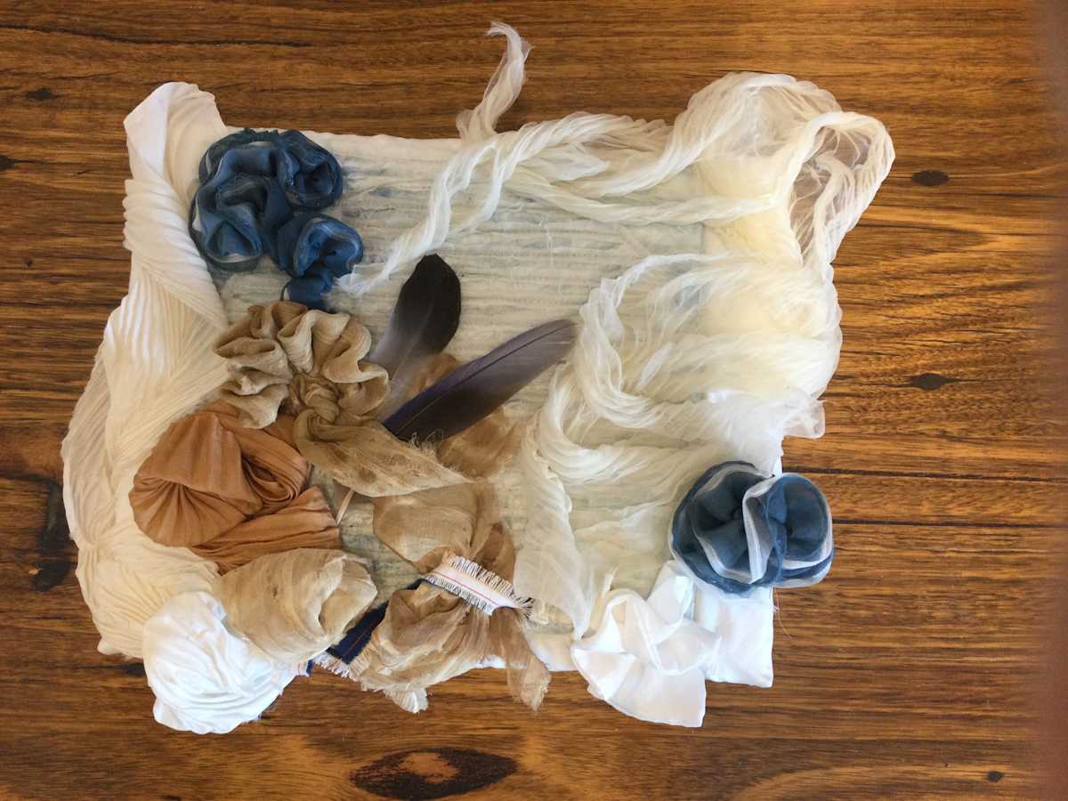 Littoral - Flotsam by Jane Suffield 