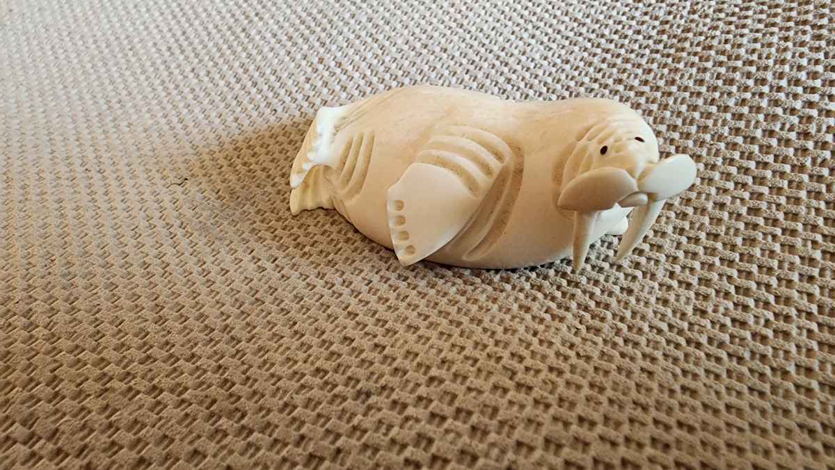 Playful Walrus by Archie H. Slwooko 