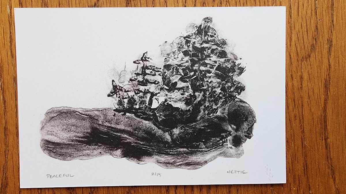 Peaceful by Annette DuBord 