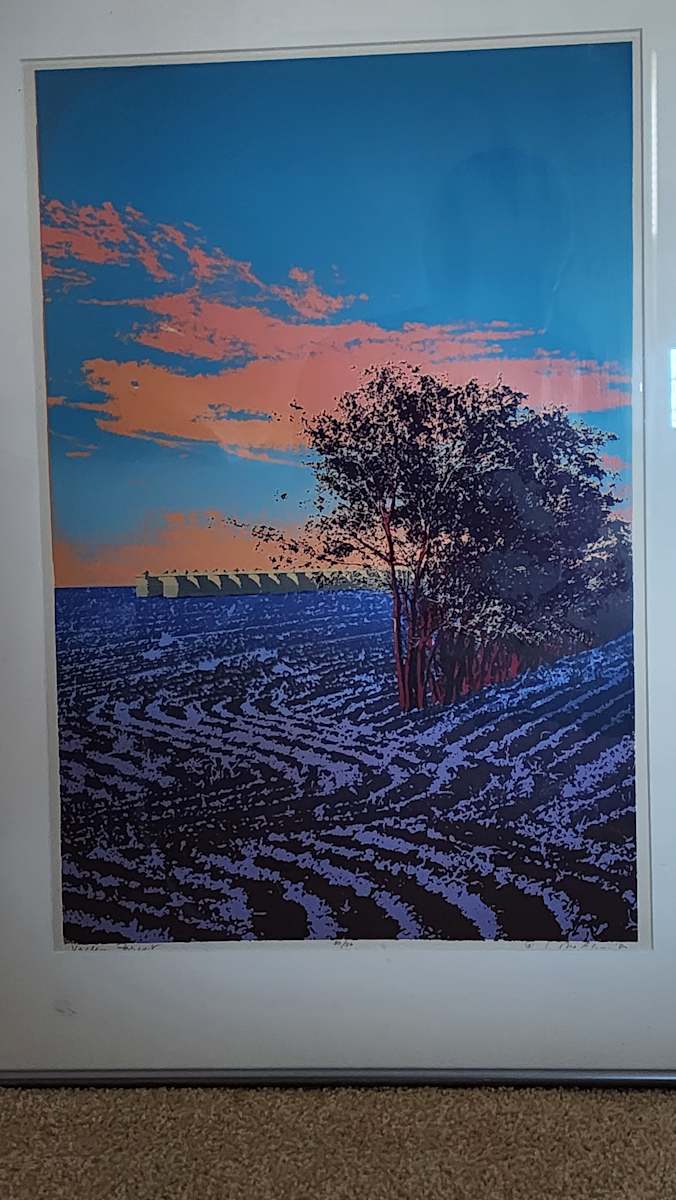 Valley Forest by Jacquelyn McElroy 