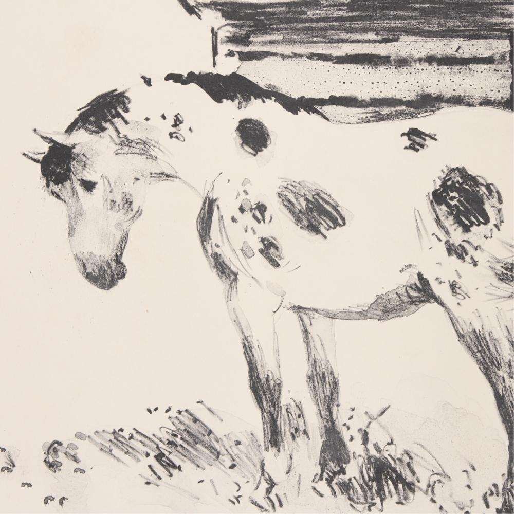 Horse Charcoal Drawing 1964 by Cameron Booth, Image 4.