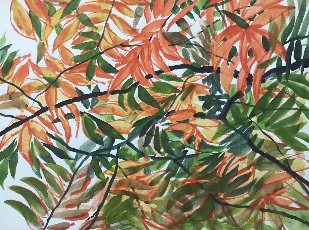 Autumn Sumacs by John C. Menihan 