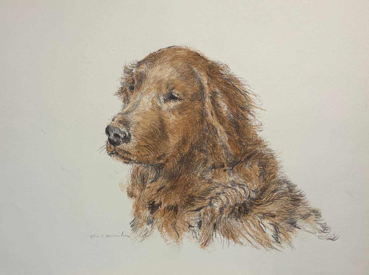 Golden Portrait by John C. Menihan, Image 1.