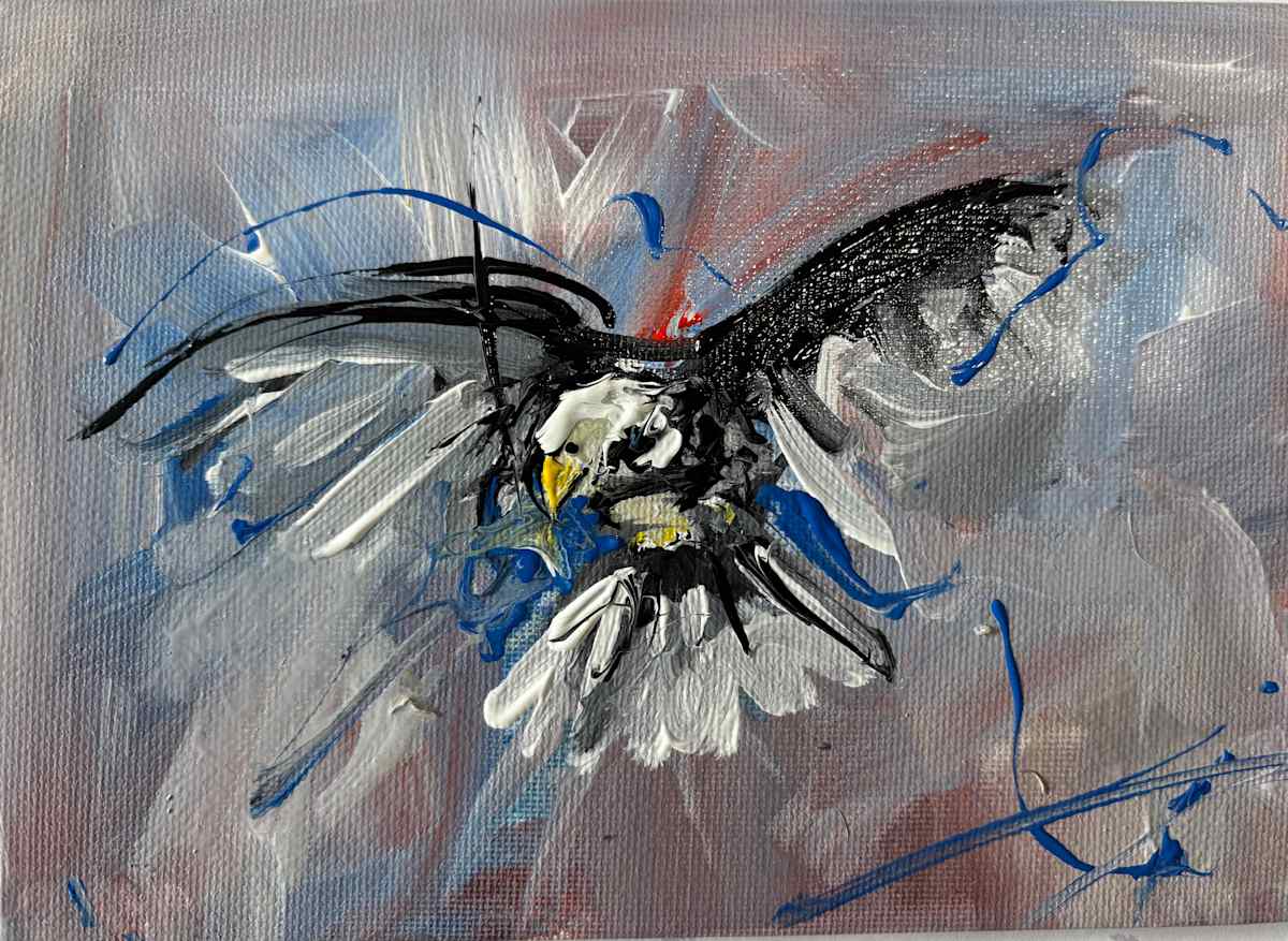 Bald Eagle by Kenneth Newsom 