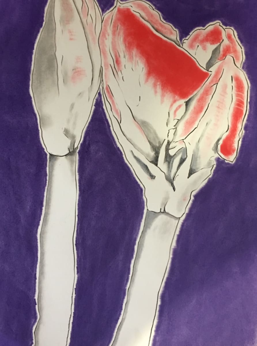 AMARYLIS #5 by CATHY KLUTHE 