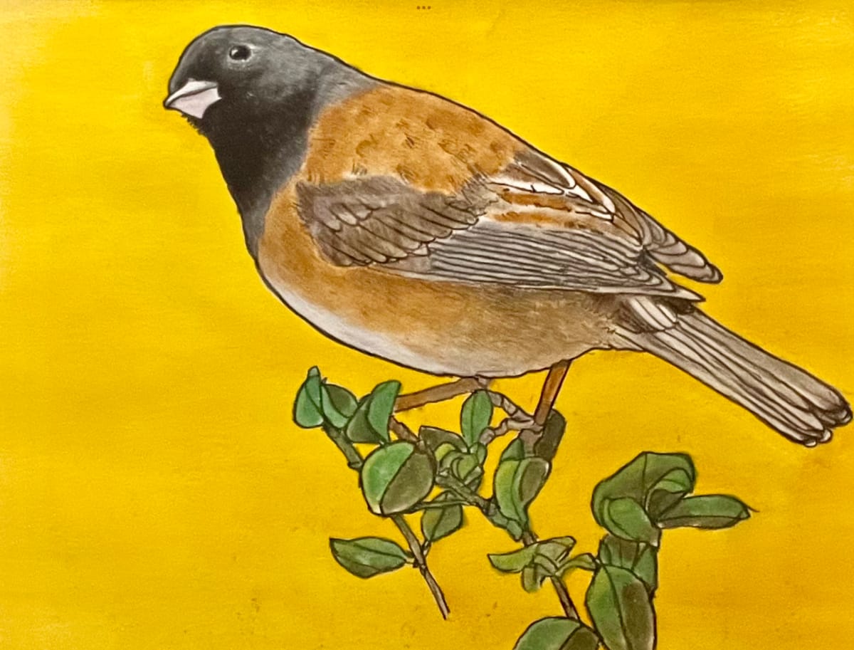 DARK-EYED JUNCO by CATHY KLUTHE  Image: Image of a Junco using a charcoal pencil, coloured chalk, and acrylic paint.
