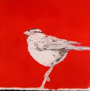 RED BIRD by CATHY KLUTHE 