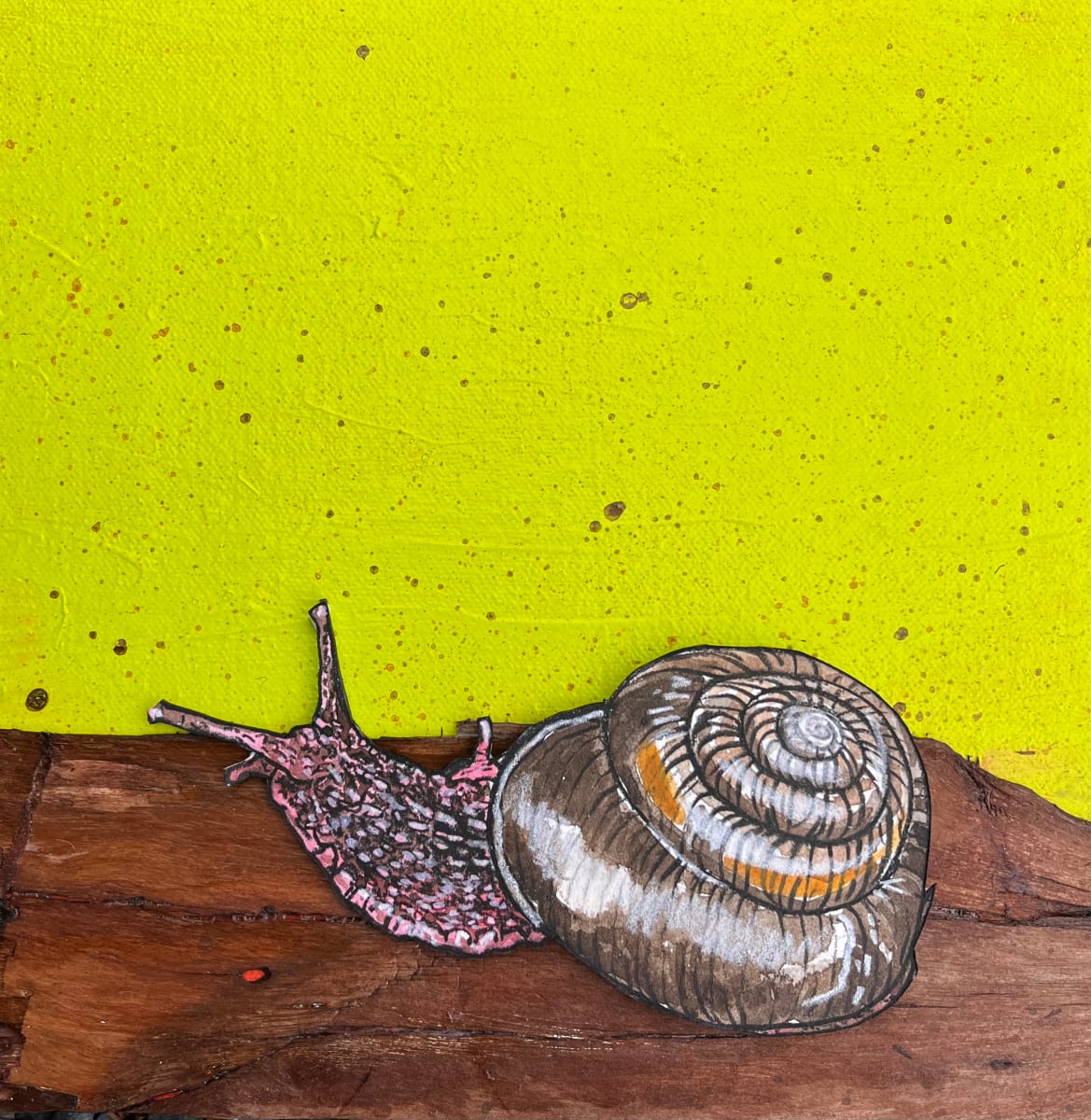SIDEBAND SNAIL by CATHY KLUTHE 