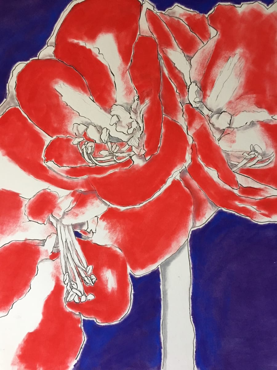 AMARYLIS #6 by CATHY KLUTHE 