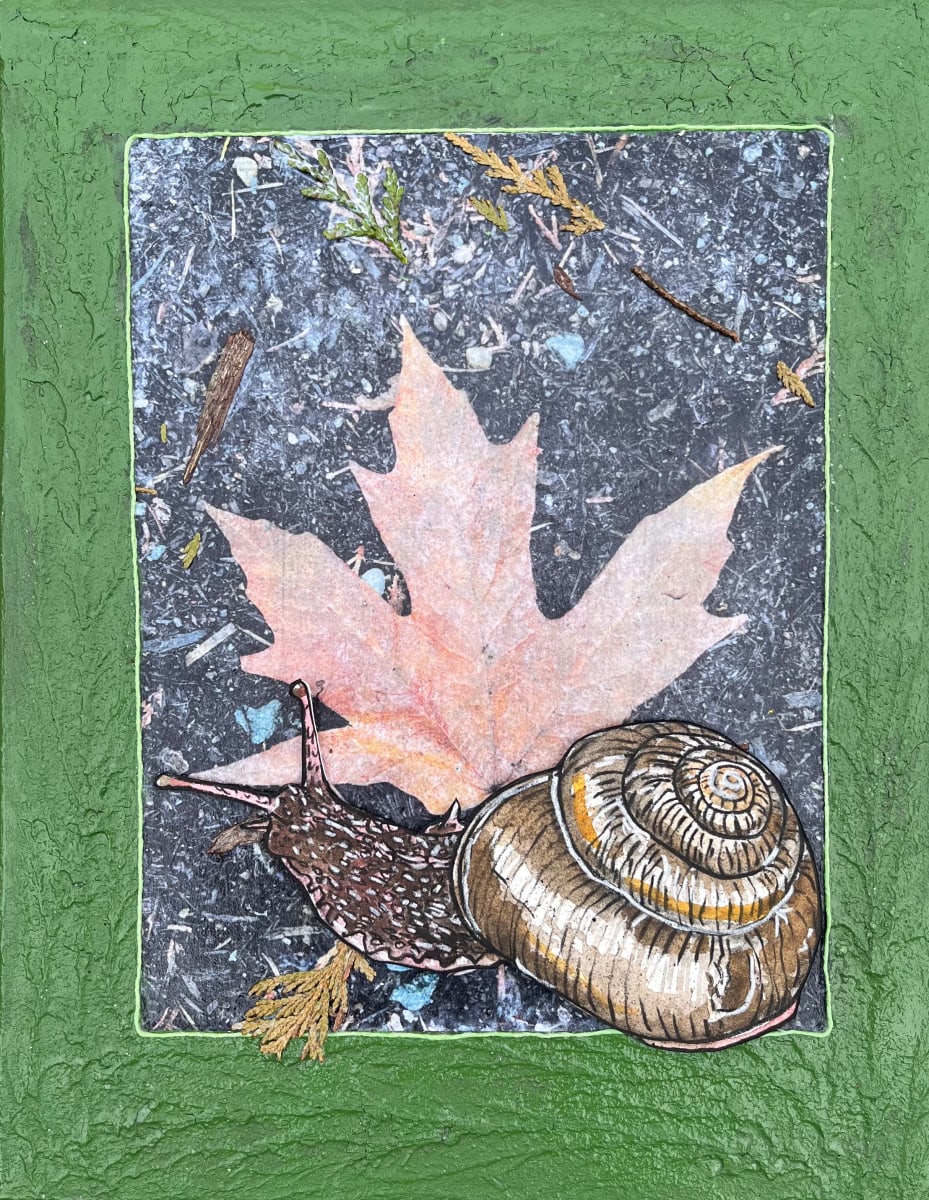 SNAIL IN THE FOREST by CATHY KLUTHE 