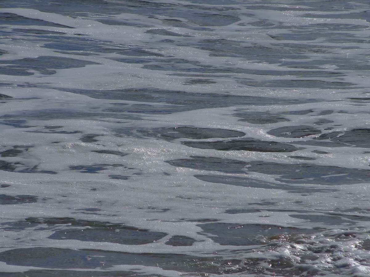 Jenkinson's Aquarium / Point Pleasant Beach Series 3 (unedited photography, limited edition of 3, displayed in a silver frame) by Michael Hanna 