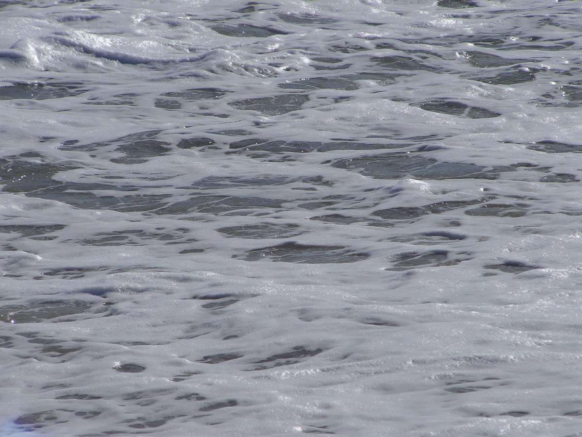 Jenkinson's Aquarium / Point Pleasant Beach Series 3 (unedited photography, limited edition of 3, displayed in a silver frame) by Michael Hanna 