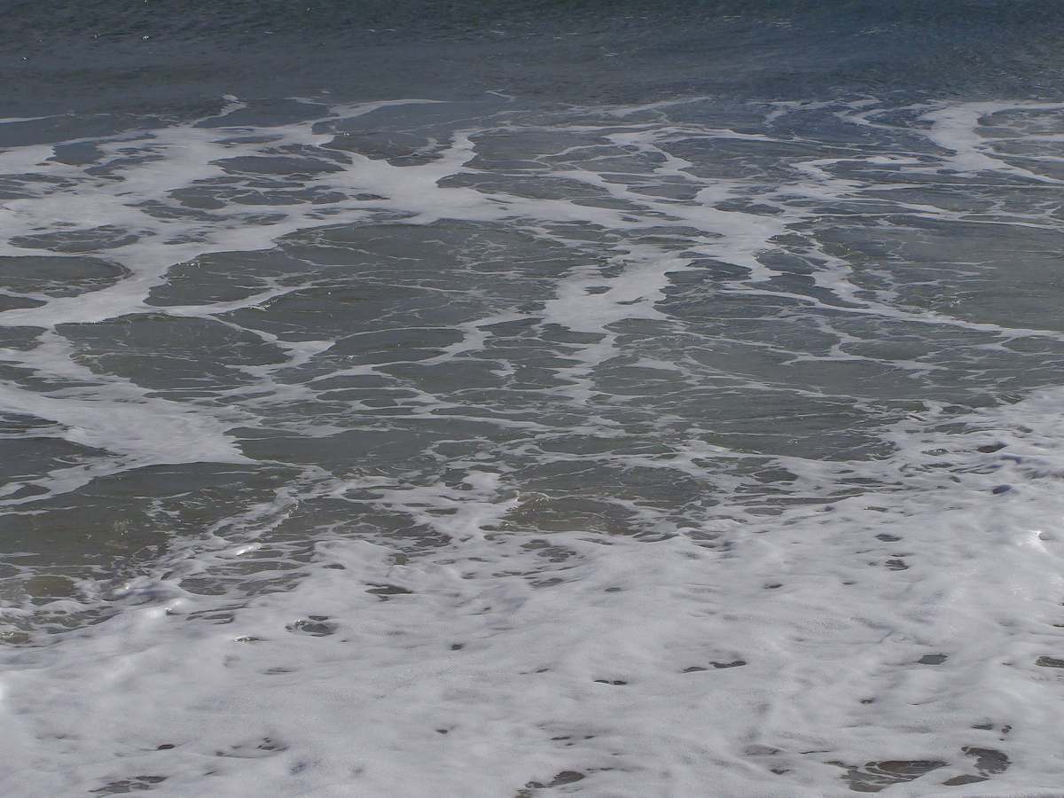 Jenkinson's Aquarium / Point Pleasant Beach Series 3 (unedited photography, limited edition of 3, displayed in a silver frame) by Michael Hanna 