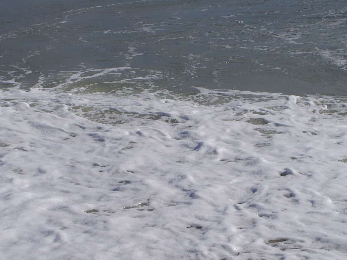 Jenkinson's Aquarium / Point Pleasant Beach Series 3 (unedited photography, limited edition of 3, displayed in a silver frame) by Michael Hanna 