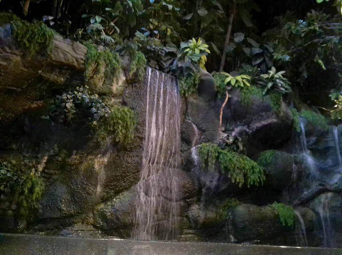 Camden, New Jersey - Adventure Aquarium - Series 1 -11/17/2025 (unedited photography, limited edition of 3, displayed in a silver frame) by Michael Hanna 