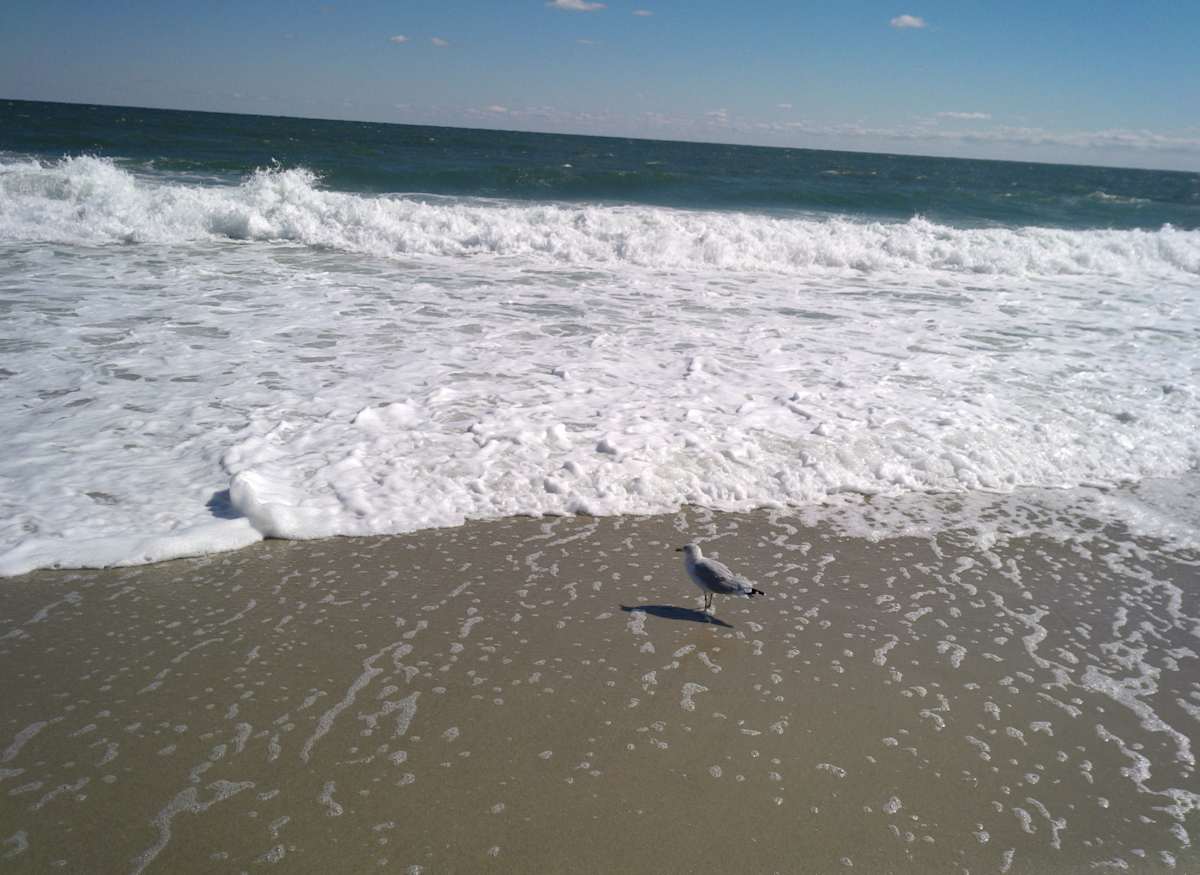 Point Pleasant Beach Series 4 (unedited photography, limited edition of 3, displayed in a silver frame) by Michael Hanna 