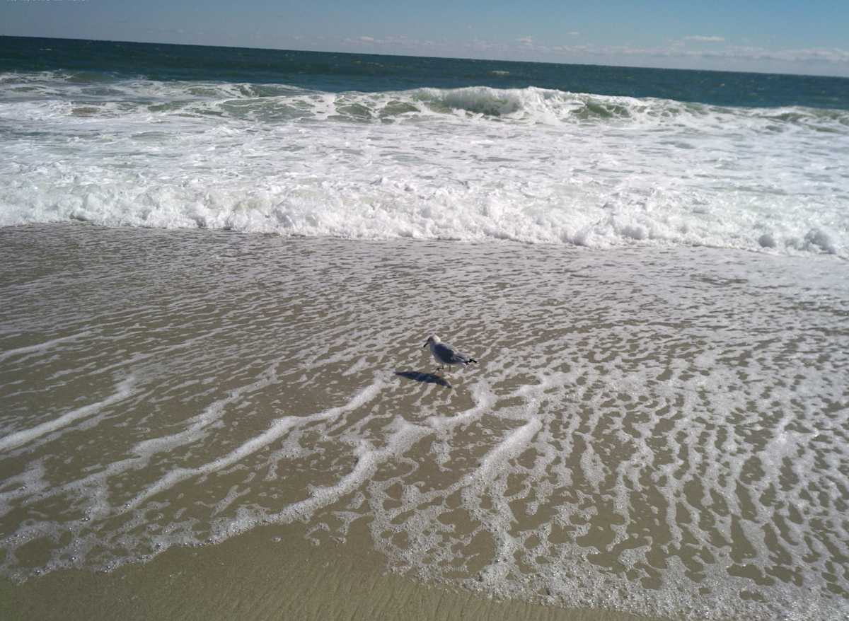 Point Pleasant Beach Series 4 (unedited photography, limited edition of 3, displayed in a silver frame) by Michael Hanna 