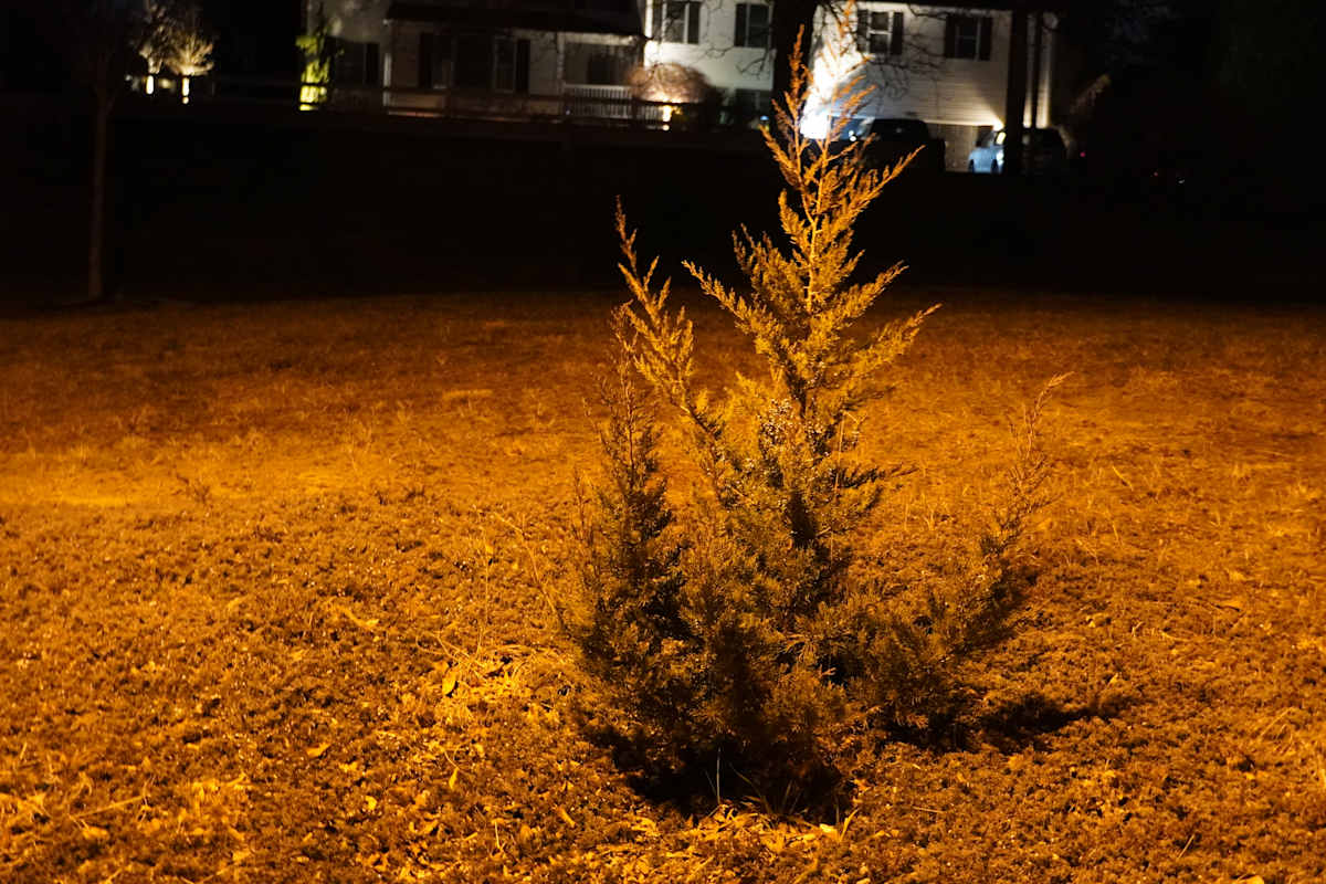 Sensory Experiences - Series 1 by Michael Hanna 