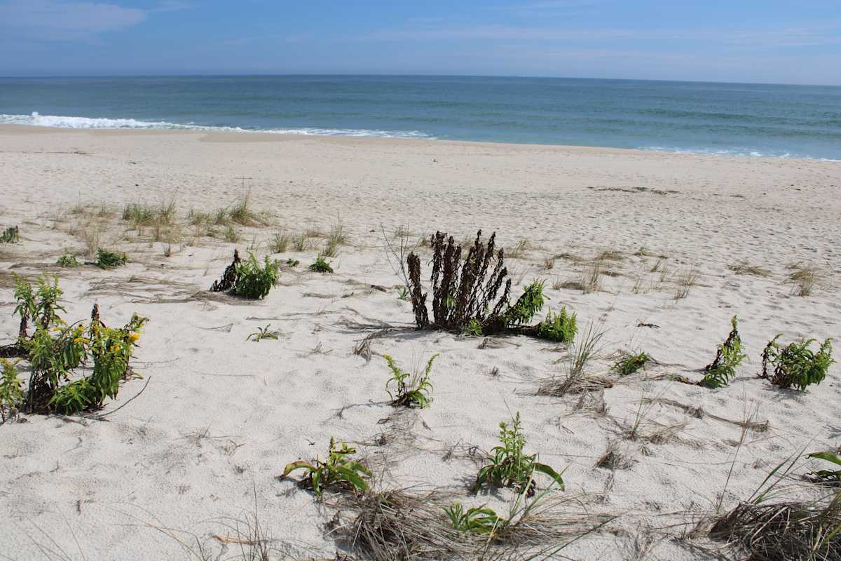 Point Pleasant Beach Series 1 (unedited photography, limited edition of 3, displayed in a silver frame) by Michael Hanna 