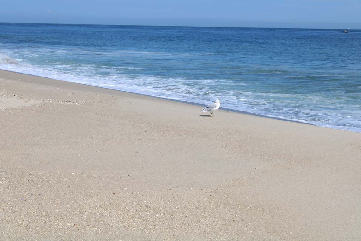 Point Pleasant Beach Series 1 (unedited photography, limited edition of 3, displayed in a silver frame) by Michael Hanna 