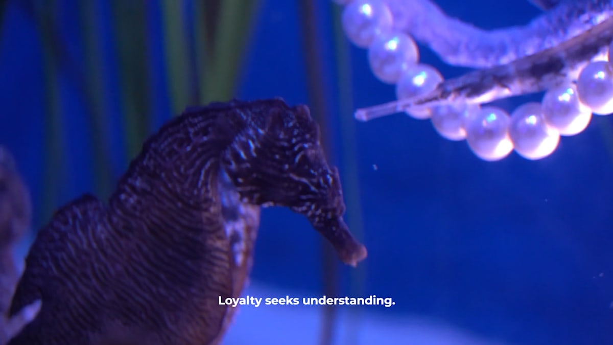 Needless Validation Video Still (limited edition of 3) by Michael Hanna 