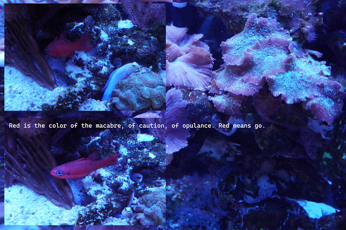 Photographic Assemblage - Series 4 - (printed in a limited edition of one) by Michael Hanna 