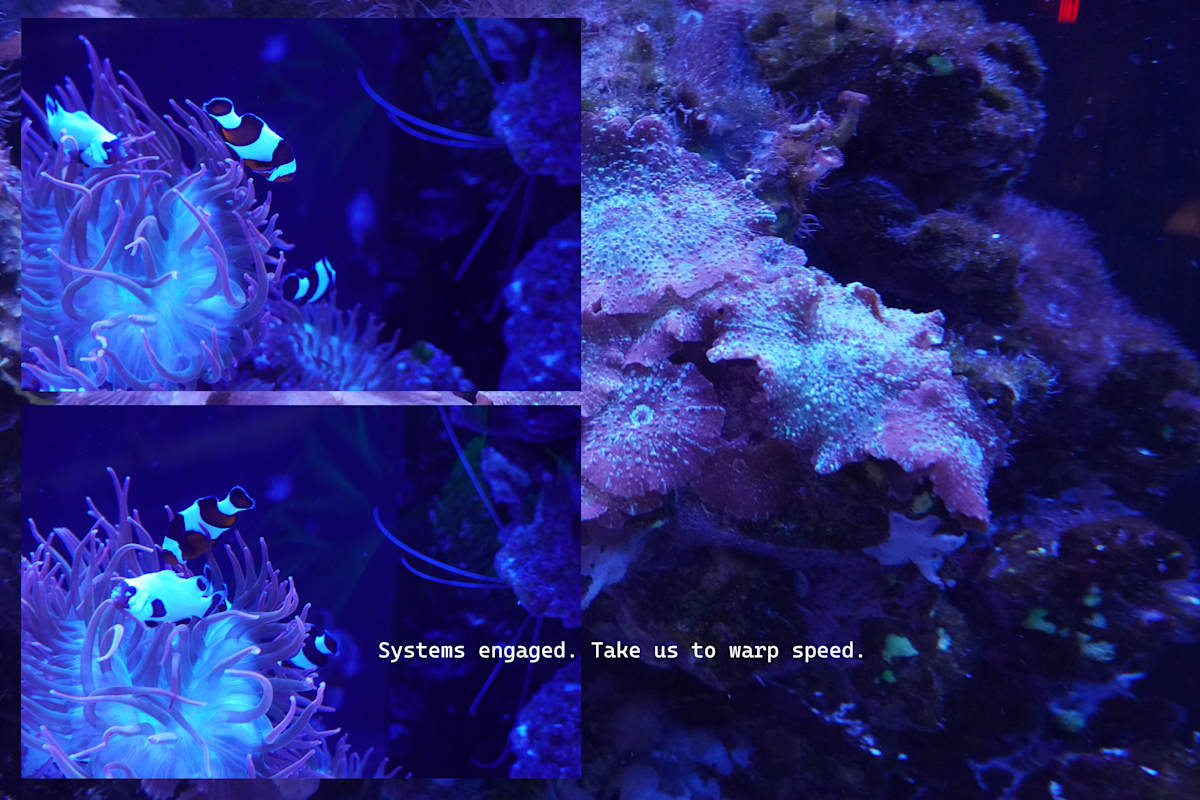 Photographic Assemblage (Series 2) - with unedited photography - printed in a limited edition of one by Michael Hanna 