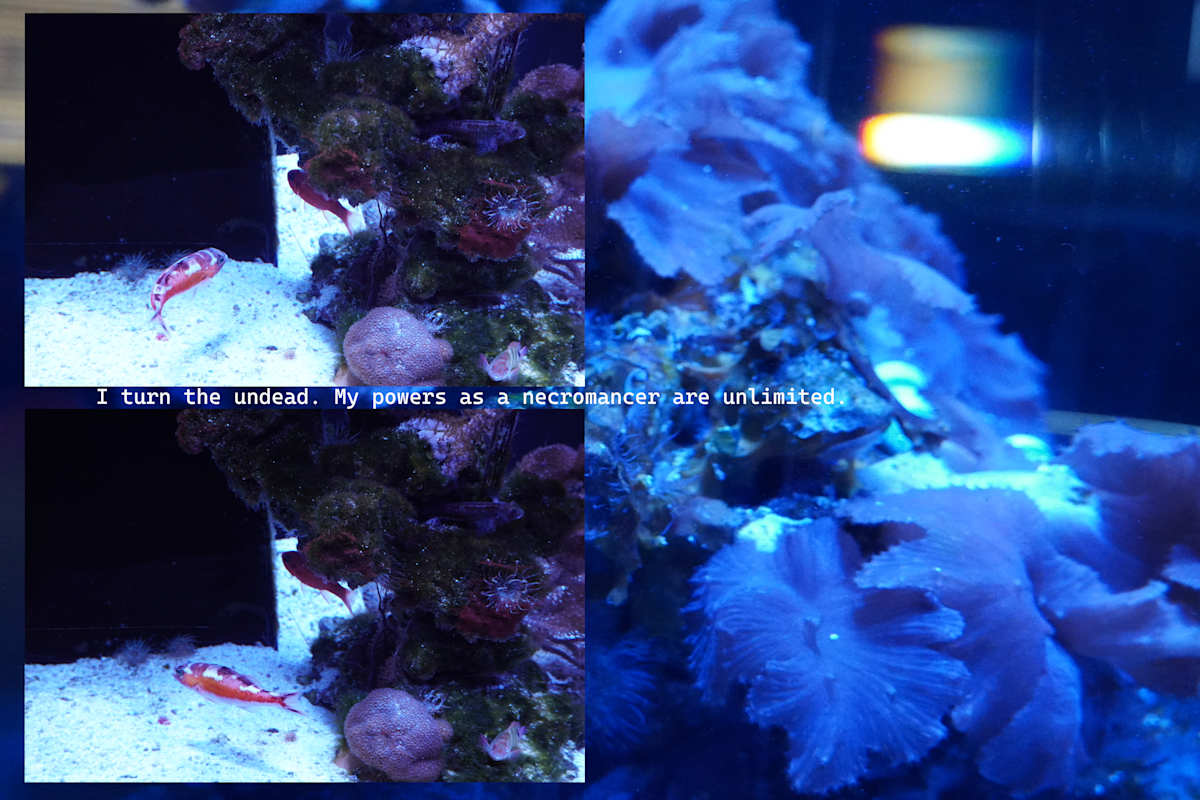 Photographic Assemblage - Series 4 - (printed in a limited edition of one) by Michael Hanna 