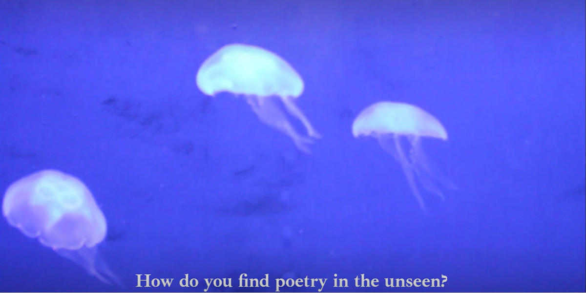 Video Still - Beasts of the Abyss - V. 6 (limited edition of 3, displayed in a silver frame) by Michael Hanna 