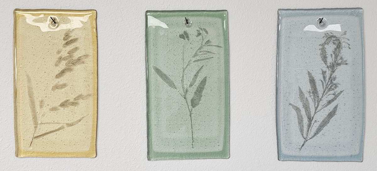 Plant Fossils III by Taylor Vaughan, Image 2.