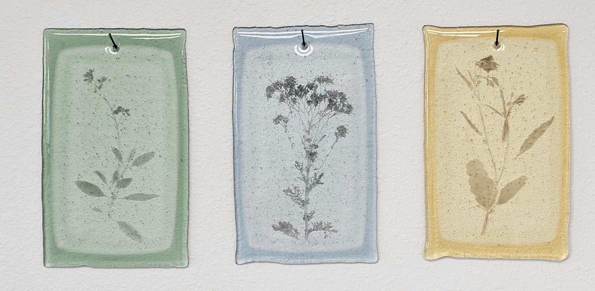 Plant Fossils II by Taylor Vaughan, Image 1.