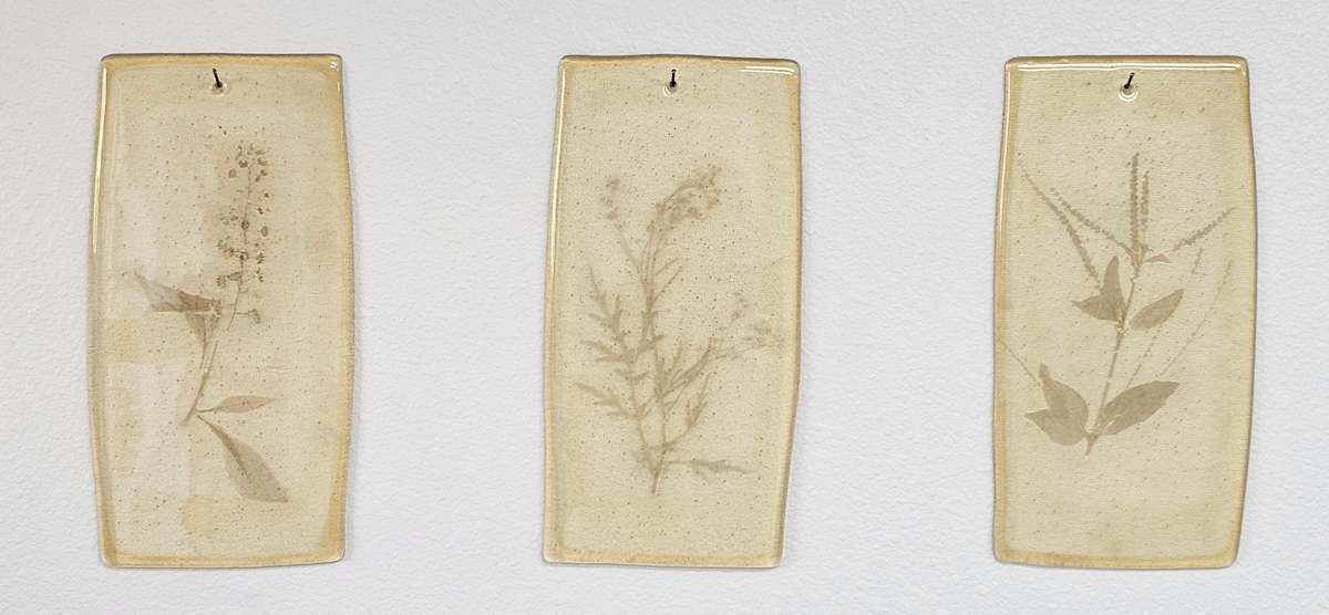 Plant Fossils I by Taylor Vaughan, Image 1.