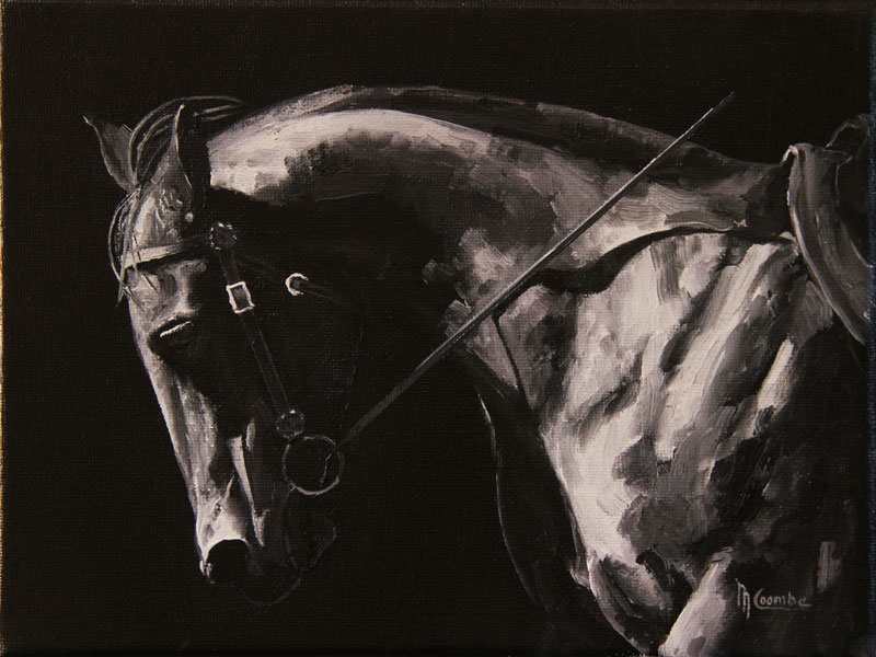 BW Tight Reins by Mark Coombe 
